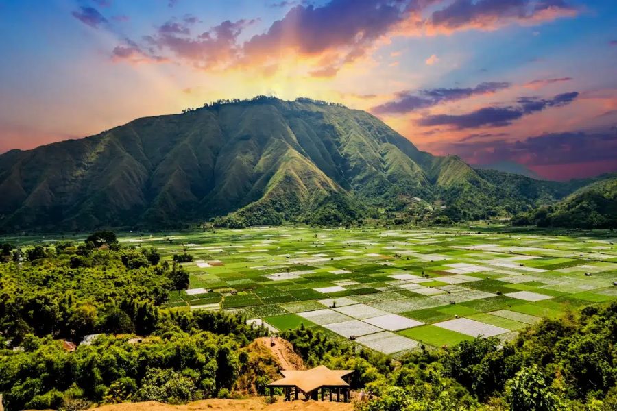 Menikmati Keindahan Alam di Bukit Selong, Lombok Timur