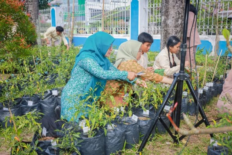 Keberhasilan Gerakan Tanam Cabai di Mataram untuk Stabilkan Harga Pangan