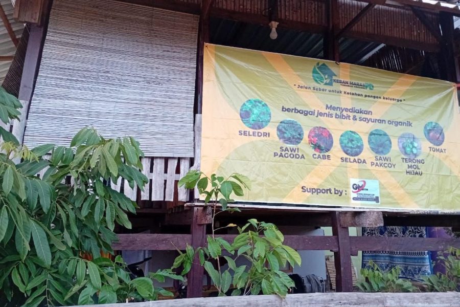 Keban Maras PD: Membangun Ketahanan Pangan dari Pekarangan Kecil di Sumbawa